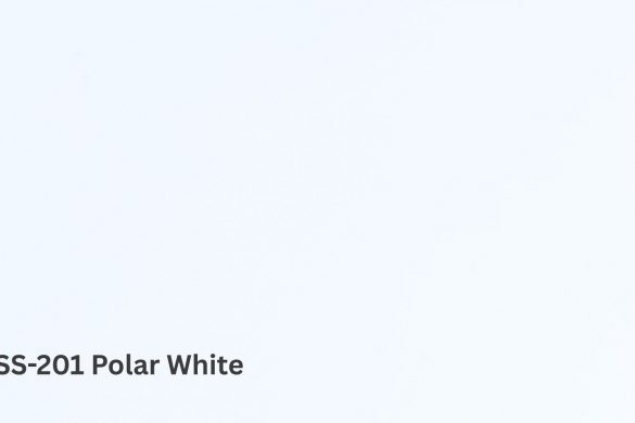 SS-201 Polar White